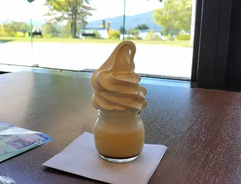 牧歌の里で売られているプリンソフトと外の風景。底にプリン、上にソフトクリームがしっかり載っている。