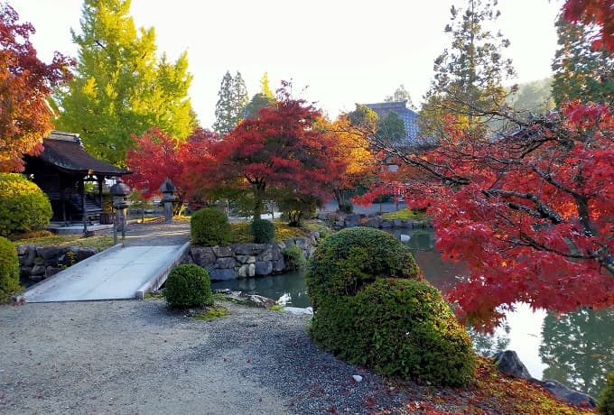 永保寺庭園の紅葉写真