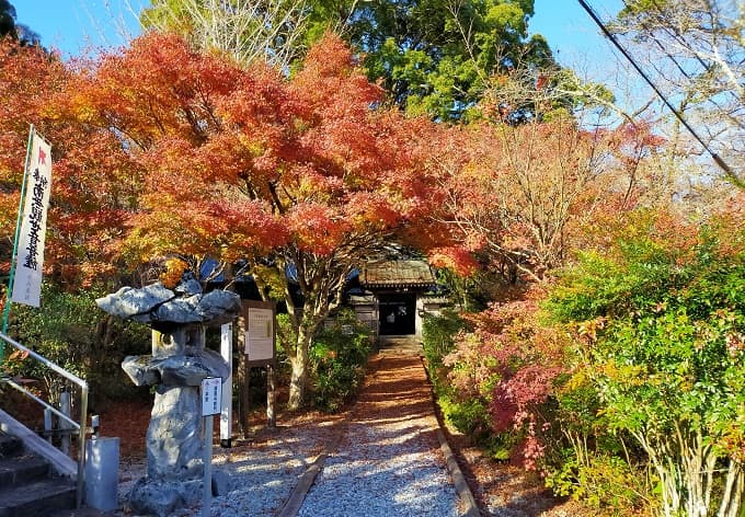 円興寺の紅葉写真
