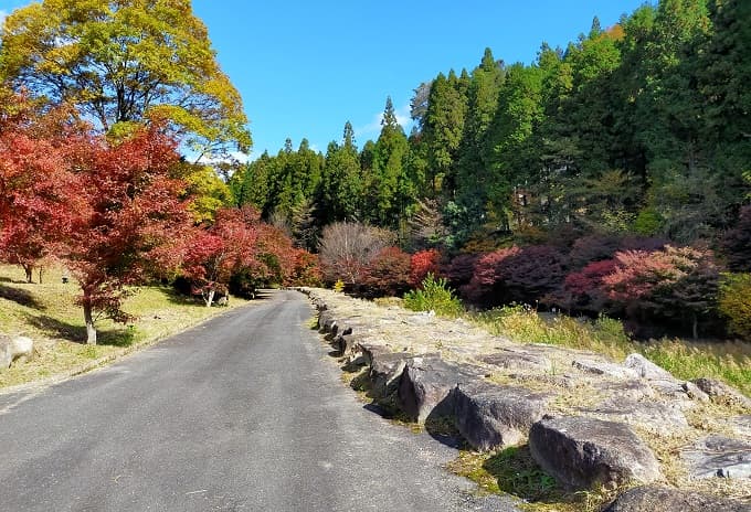 島田公園の紅葉写真