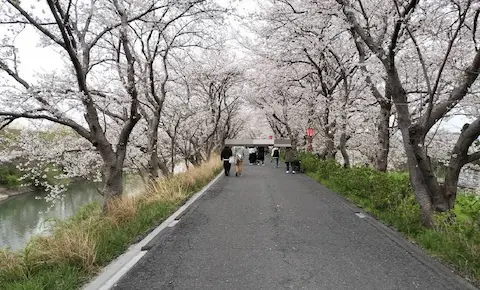 墨俣城花見