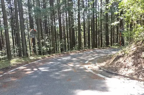 大山白山神社へのアクセス道路。木々や落ち葉の多い山道