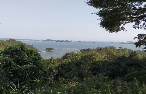 松島 幽観