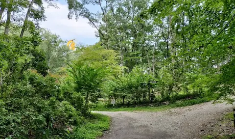 秩父ミューズパーク展望台からへの散策路。木々の間を歩く。