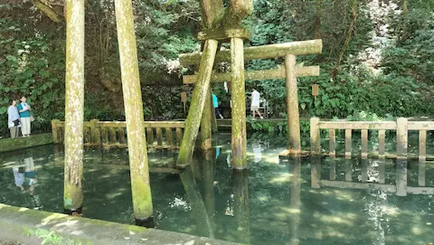 鹿島神宮御手洗池