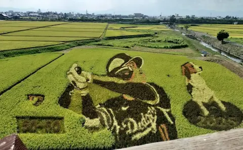 奥州アテルイの里田んぼアート。大谷翔平と犬がモチーフとなっている。