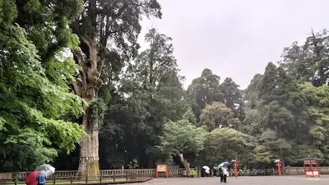 霧島神社