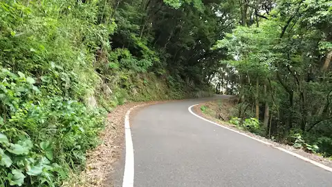 倉岳神社アクセス道