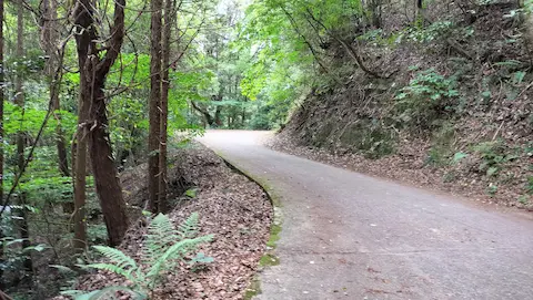 高舞登山展望台