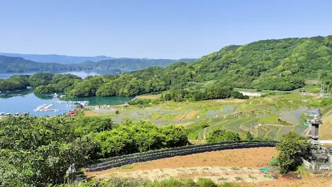 大浦の棚田