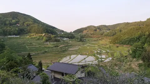 大垪和西の棚田