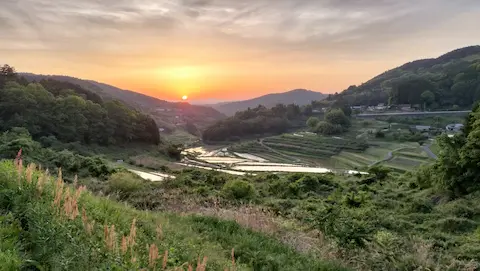 大垪和西の棚田