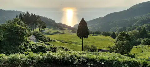 岩首昇竜棚田