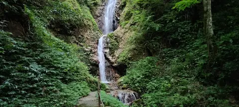 養老の滝