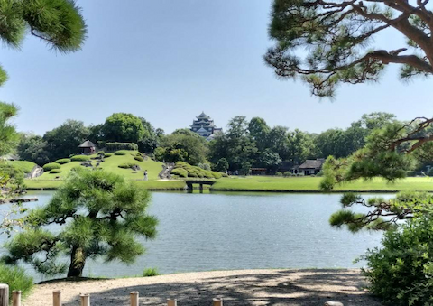 岡山後楽園からの岡山城