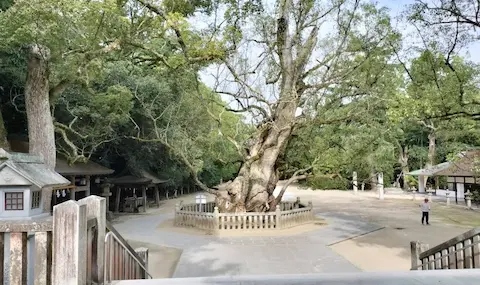 大山祇神社