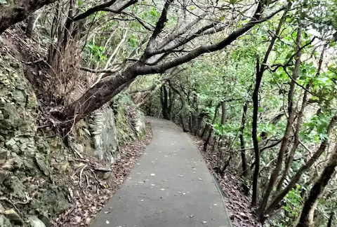 佐田岬遊歩道