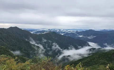 UFOライン