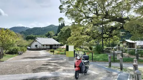 野間の大ケヤキ