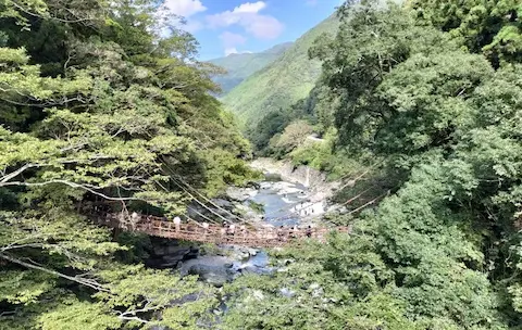 祖谷のかずら橋