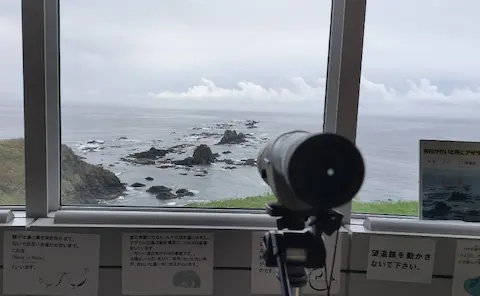 風の館の展望質。望遠鏡が設置されており、アザラシを観察することができる。
