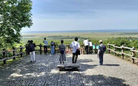 細岡展望台からの釧路湿原の景色。湿原の緑がいっぱいに広がる。