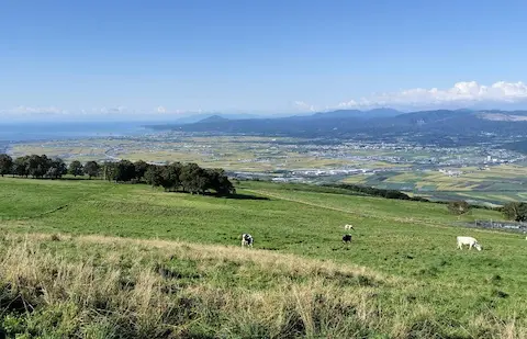 城岱牧場の景色。函館の街並みや山々、海景色が広がる。