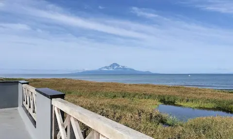 こうほねの家の2階展望デッキから見える景色。草原の先に海と利尻富士が見える。