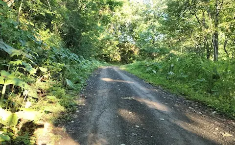 サロマ湖展望台へのアクセス道路。未舗装の山道が続く。