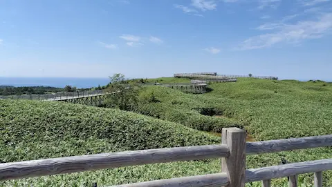 知床五胡の無料遊歩道。木道が草原の中を続く。